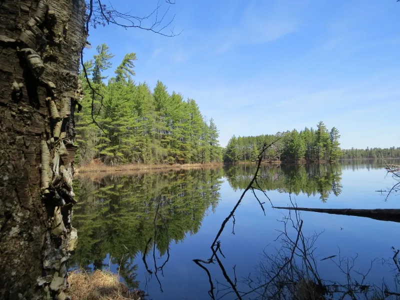 Bay on Massawepie Lake