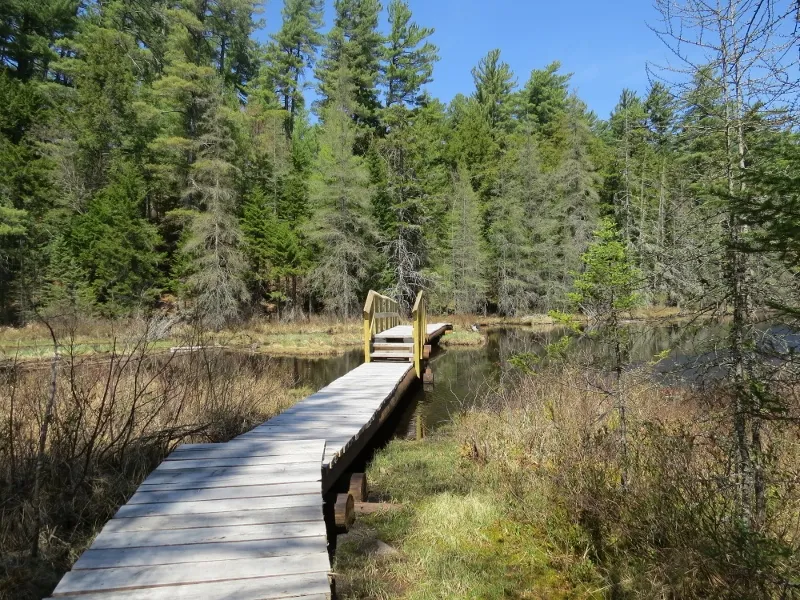 Bridge over the outlet of Massawepie Lake