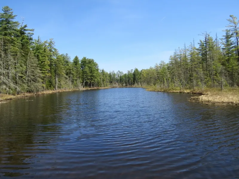 Outlet of Massawepie Lake