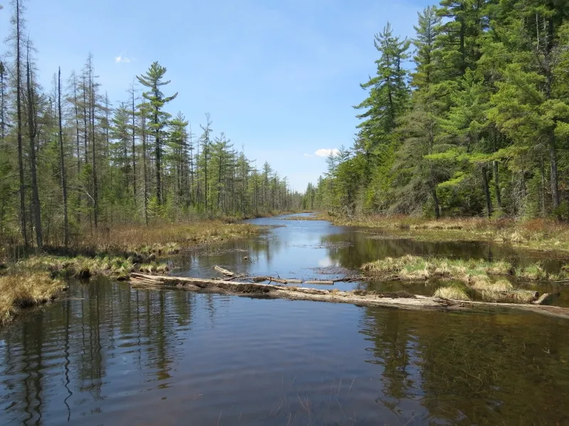 Outlet of Massawepie Lake