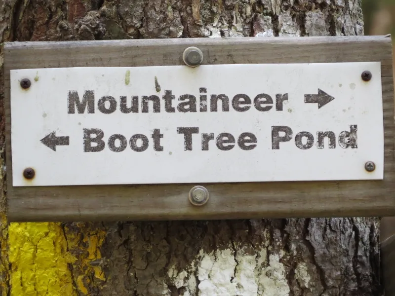 Trail sign along the Mountaineer Trail