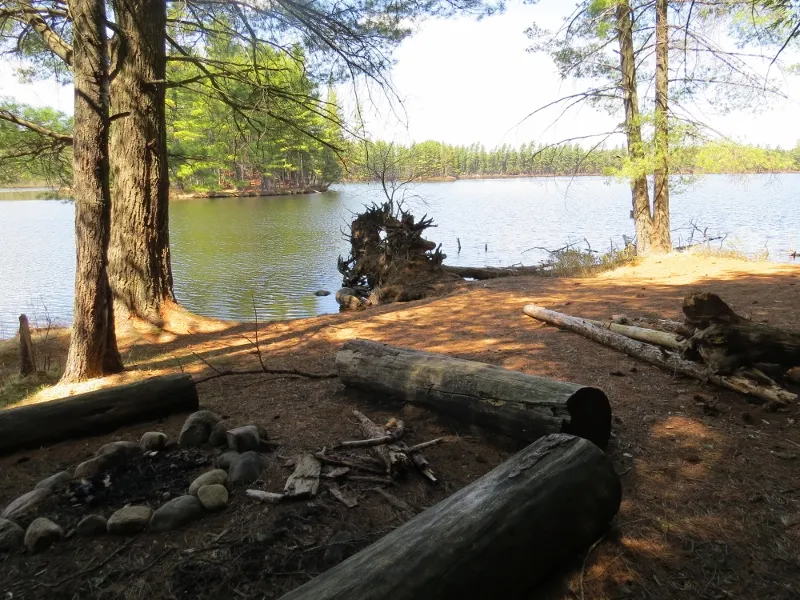 Shore of Massawepie Lake