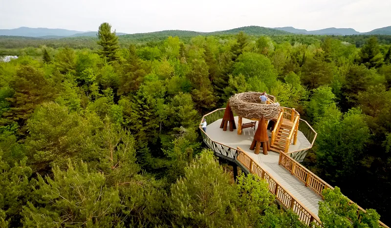 Wild Walk's Eagle's Nest (The Wild Center photo)