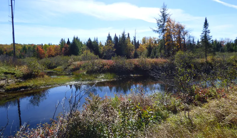 One of the many scenic vistas you pass as you travel from Tupper Lake, NY to Childwold, NY.