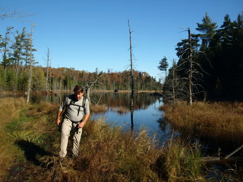 Jamie heading through the wetlands