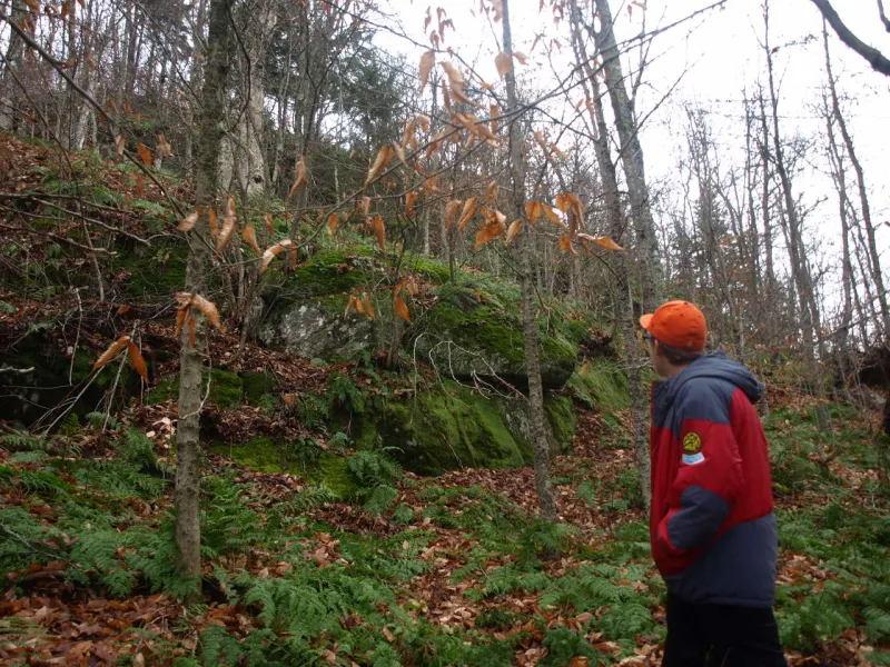 Heading up Goodman Mountain