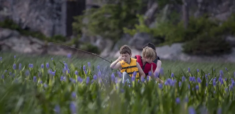 Explore the flora and fauna in Moody Marsh.