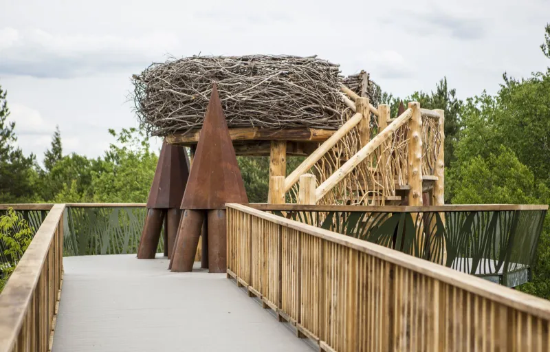 The eagle's nest on The Wild Walk may be a great spot to view the eclipse!