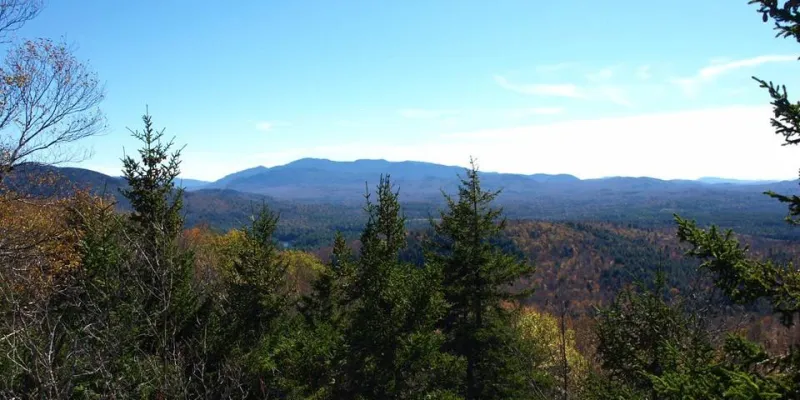 The view from the top of Panther Mountain.