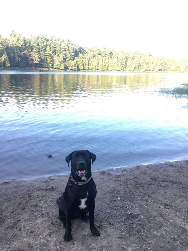 Come on, throw the ball!