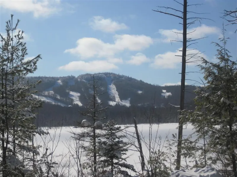 Great views from the Cranberry Pond Loop