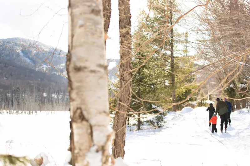 A family cross-country skis past a snowy, frozen lake and mountains