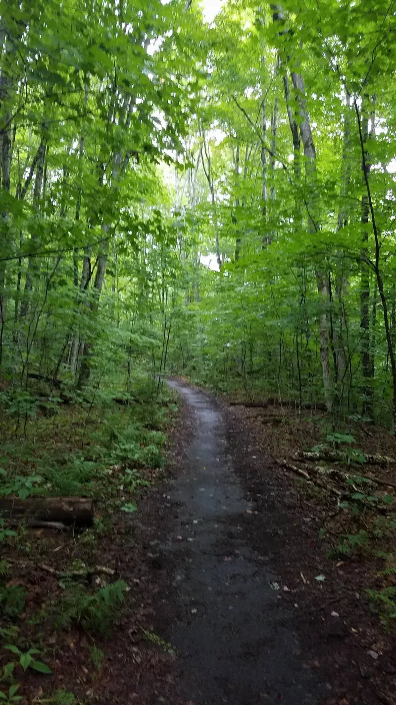 The first section of Goodman Mountain