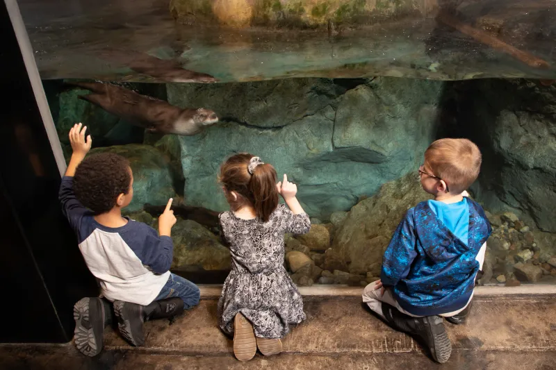 Three small children take in the underwater view of Otter Falls.