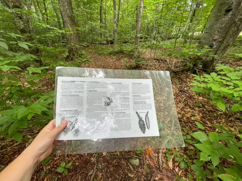 The laminated interpretive brochure at Fernow Forest with numbered stops.