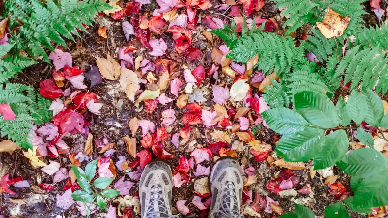 Hiking in boots through the fall leaves.