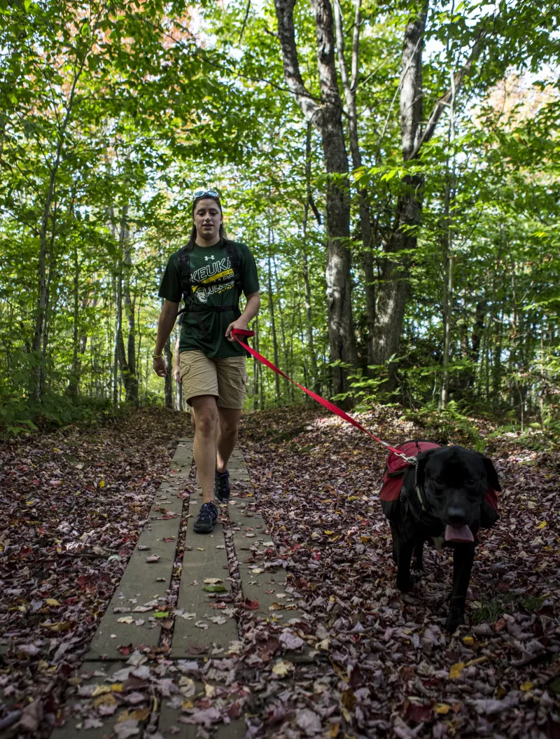 A black lab climbing a mountain trail.