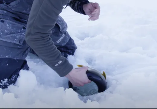 Ice fishing