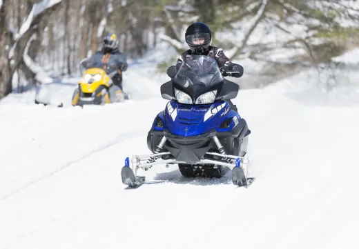 Sleds on trails near Tupper Lake.