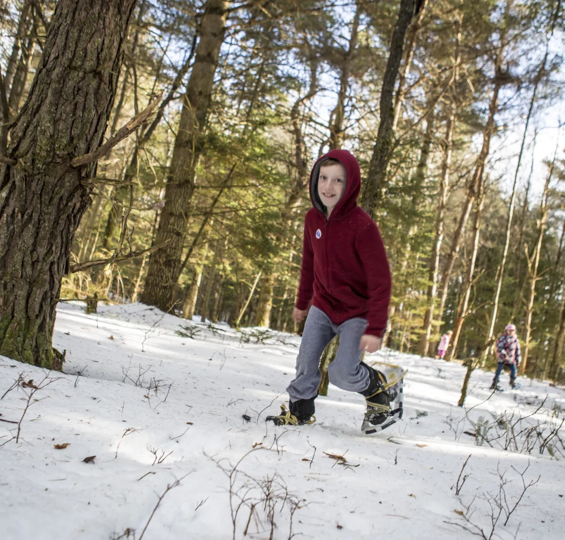 A young boy snowshoeing along a trail.