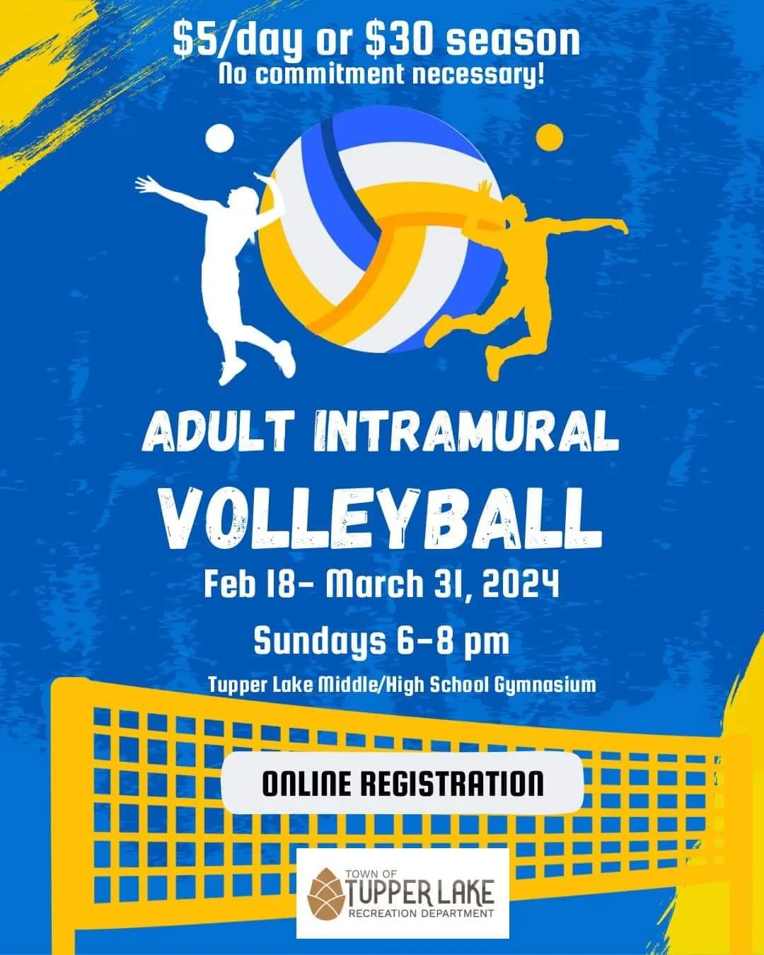 An illustrated poster advertising a volleyball program for adults.