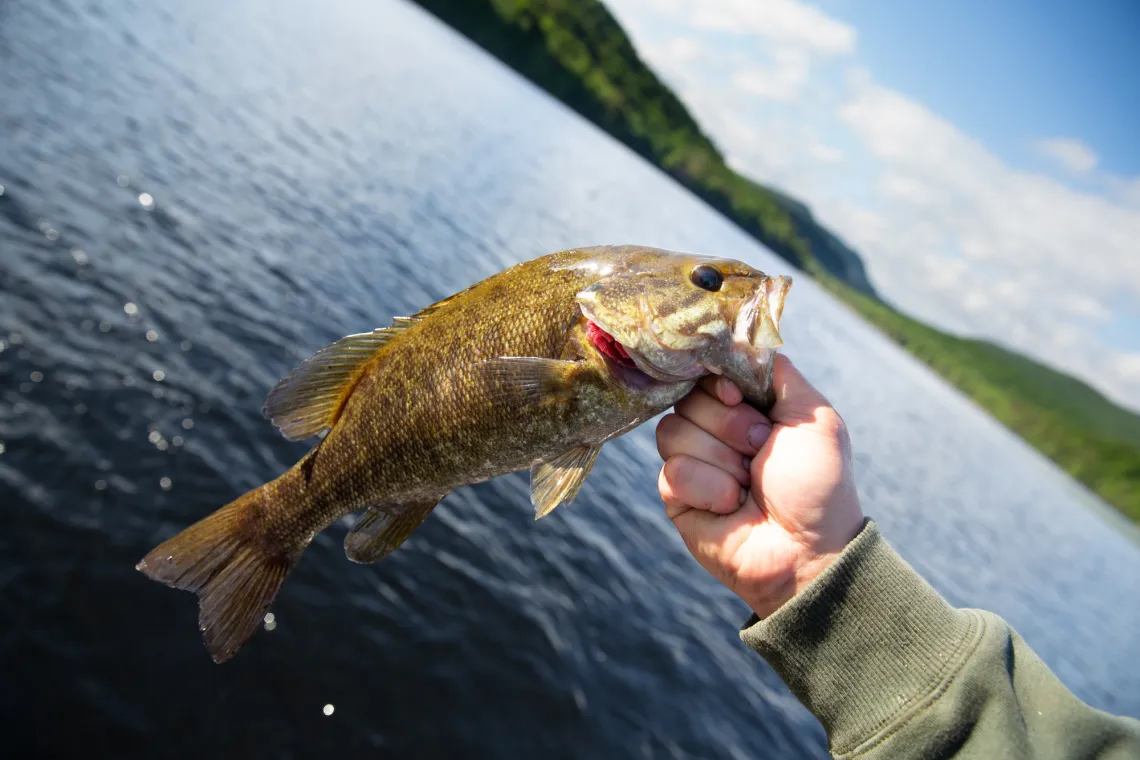 Hot night on the Red Lake River produces good fishing for trio of