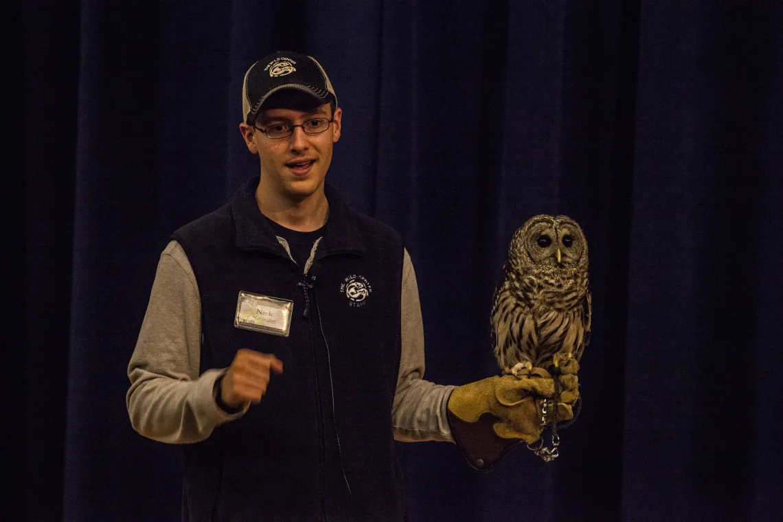 An employee at the Wild Center holding an owl while giving a presentation.