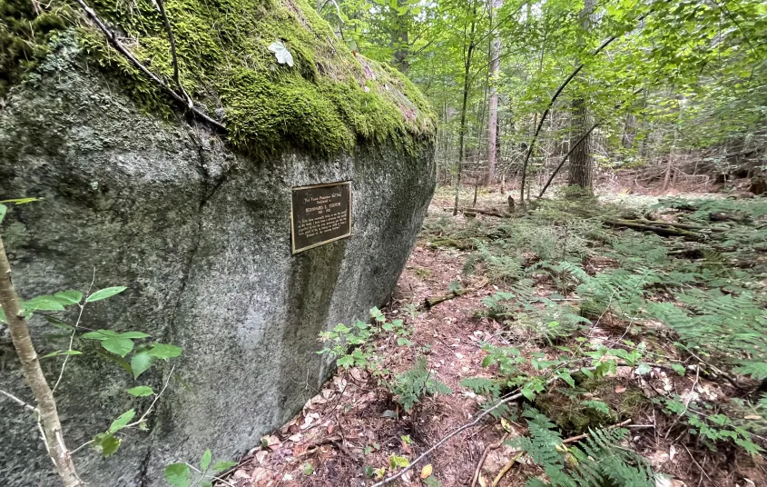 A metal plaque on a mossy rock.