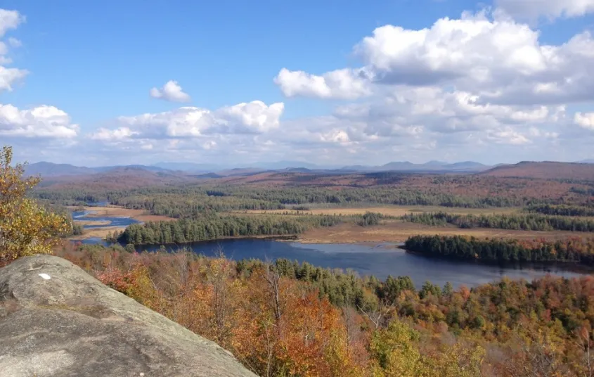 The Low’s Ridge – Upper Dam Trail is a scenic&#44; remote&#44; and diverse birding location.