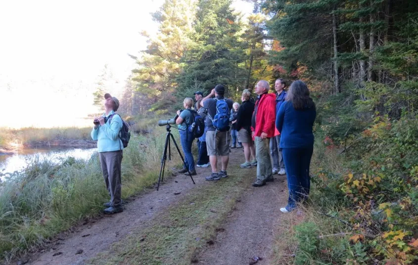 The trail is a mostly level dirt road that leads to the Upper Dam on the Bog River.