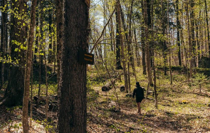 A hiker walks in front of a sign for Pickerel Pond