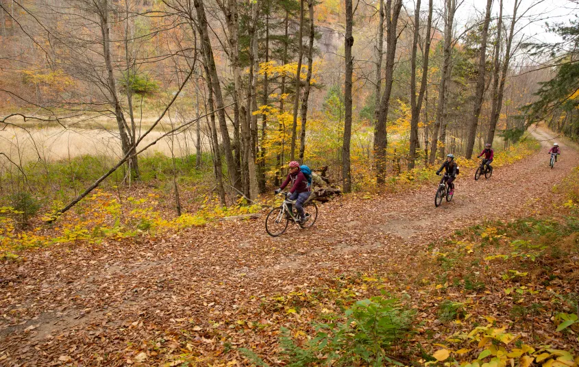 Low s Upper Dam Mountain Bike Trail Tupper Lake