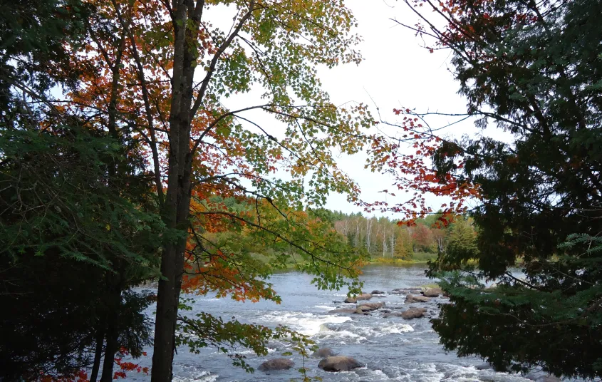 A look at Moody Falls through the trees