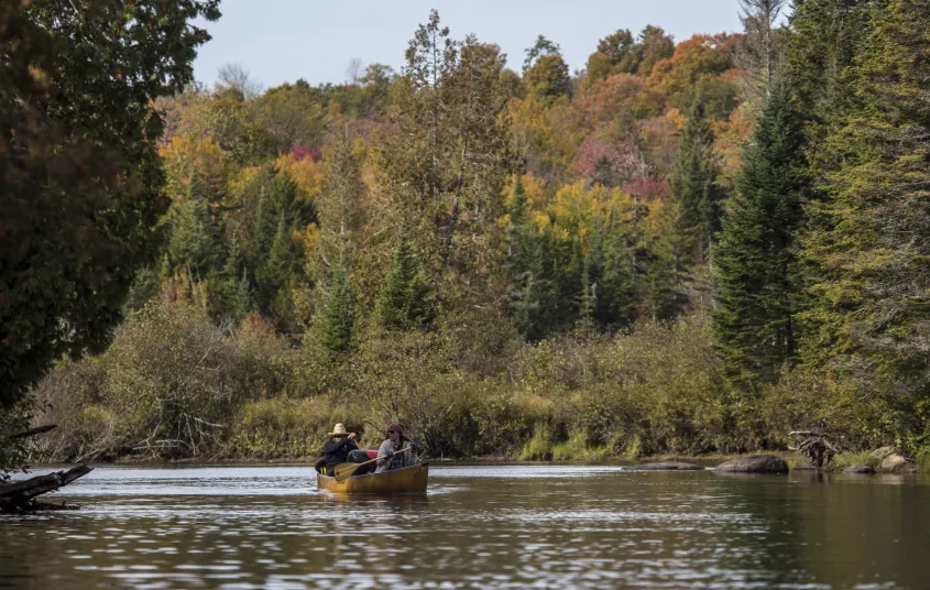 Paddle the Raquette River as part of Carry Falls Reservoir.