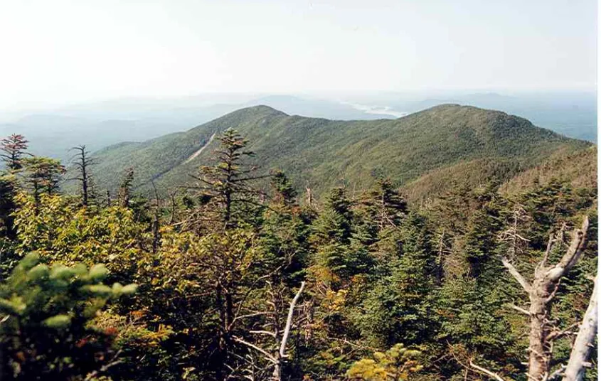 A mountain range in the summer