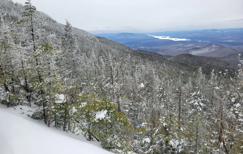 Snowy view over evergreen trees of a long lake