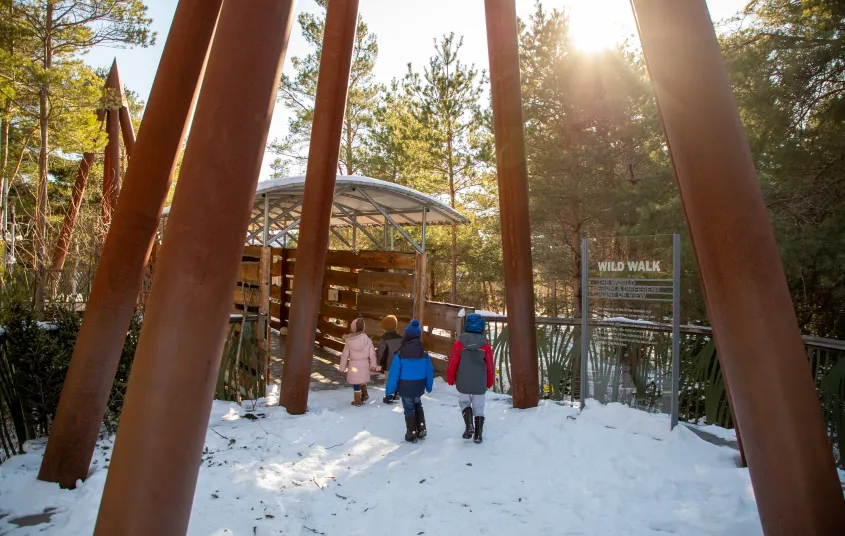 A group of children enter The Wild Walk in the winter