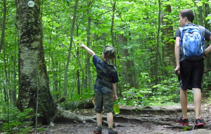 Enlist the youngest hikers to look for trail markers.