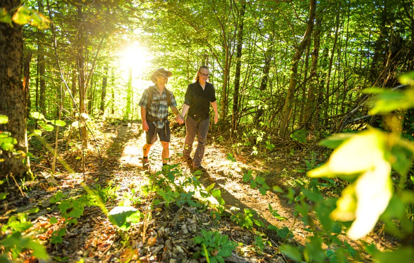 Two people walk through a bright green forest