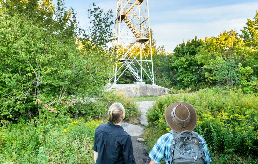 Two people look towards a firetower