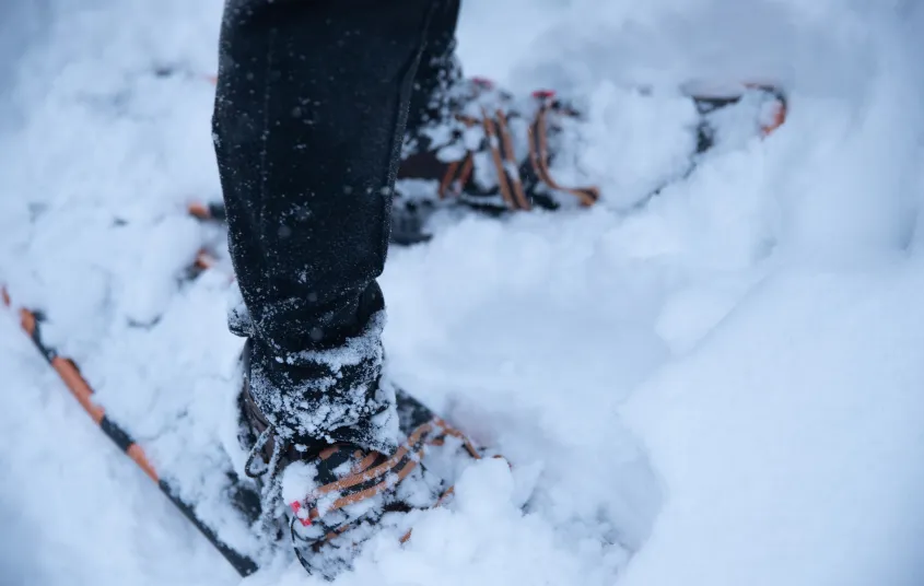 Snowshoes in the snow