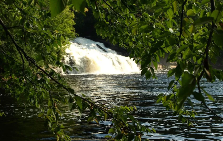 A waterfall seen through the trees