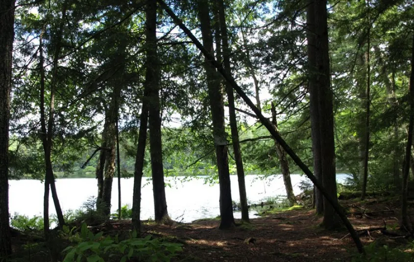 It's a thrill when Round Pond appears through the trees.