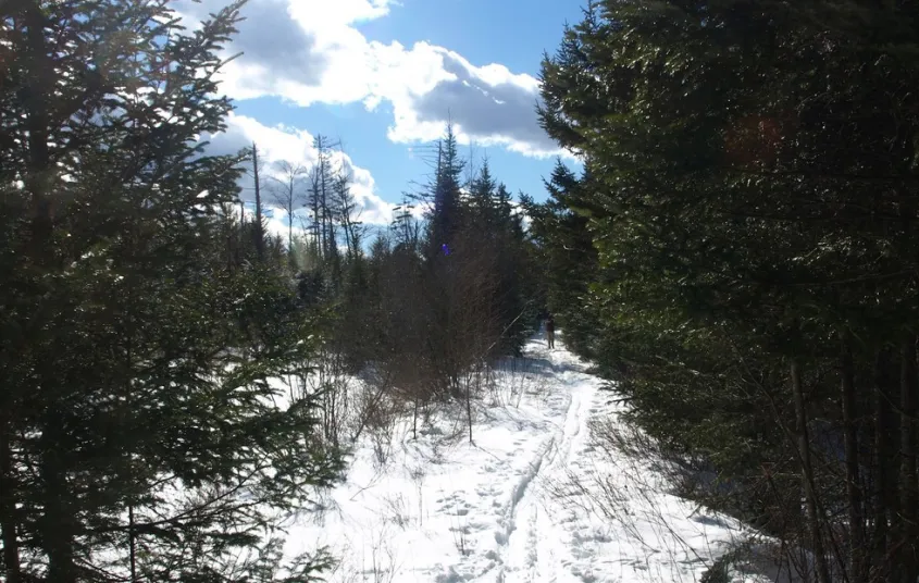 A trail topped with snow