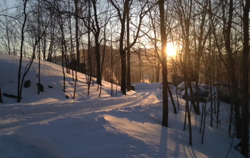 Winter on a trail