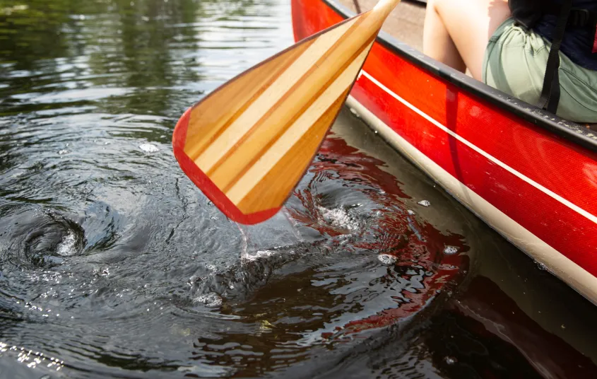 A paddle coming out of the water