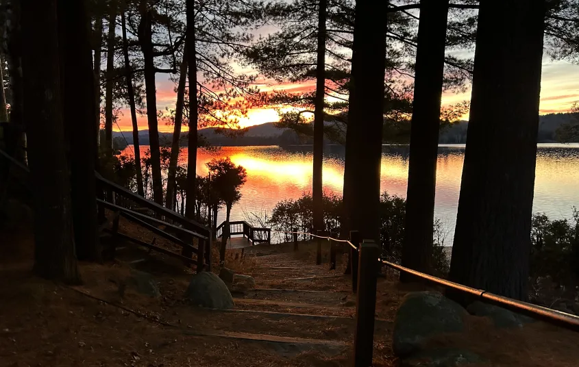 gorgeous warm sunset over the lake through the trees