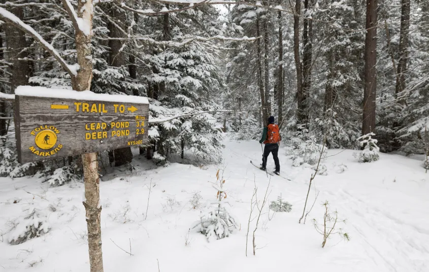 A skier at a junction