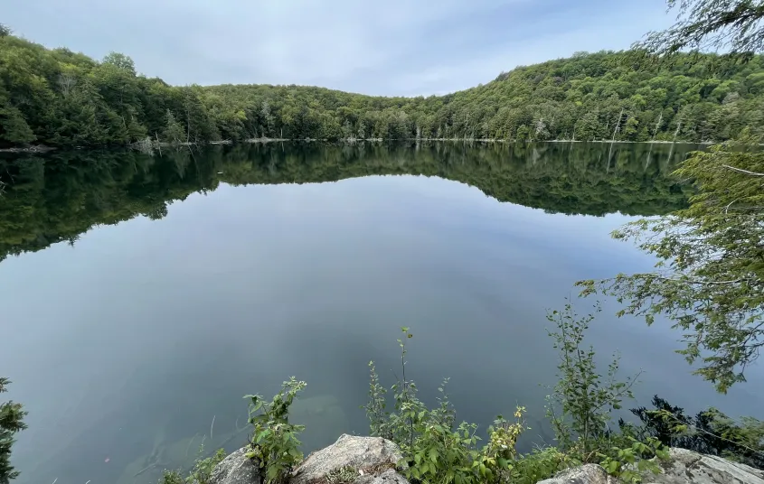 A view of a pond reflecting green trees and hills