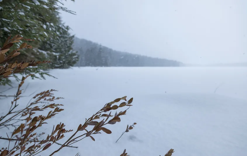 A frozen pond